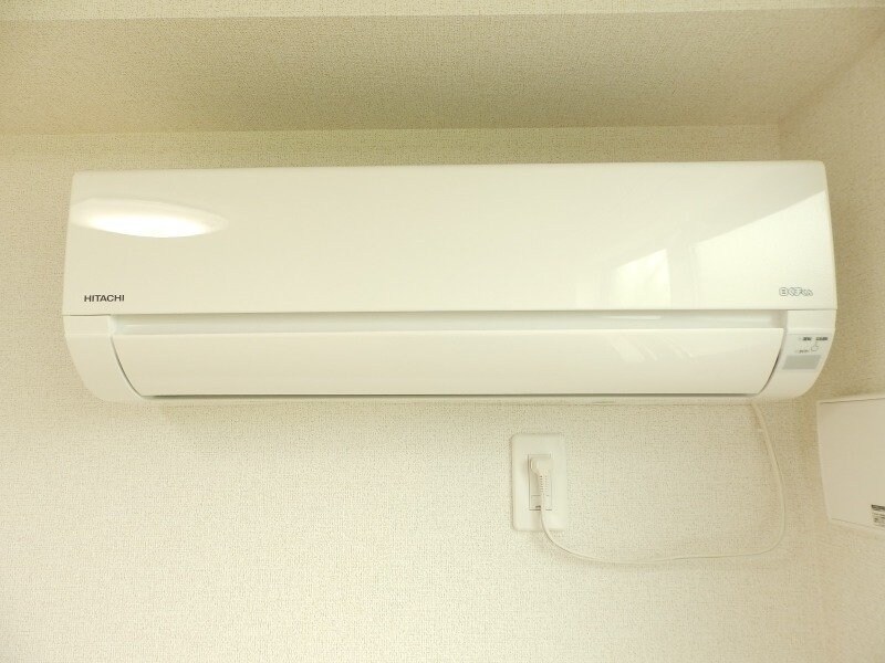 同型参考写真 プラシード　キャトル