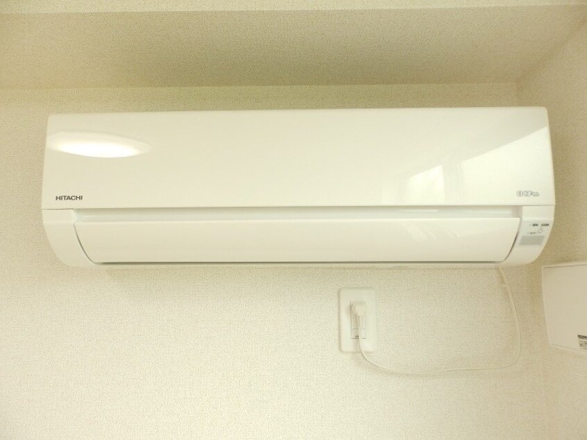 同型参考写真 プラシード　キャトル