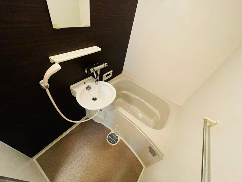  ディアハイビスカス