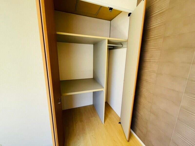  ディアハイビスカス