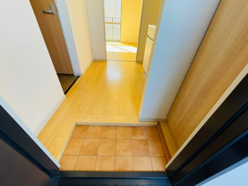  ディアハイビスカス