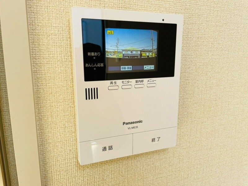  ディアハイビスカス