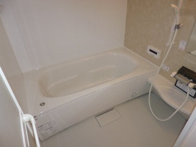  コルディアーレ