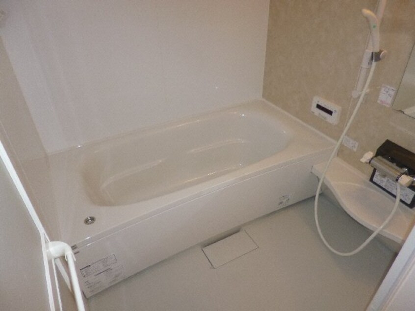  コルディアーレ