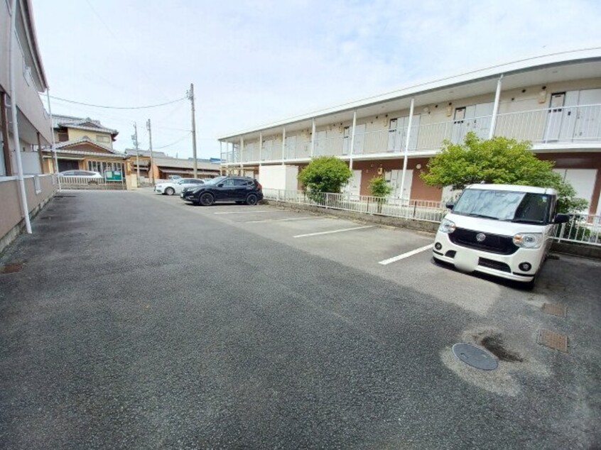  グレイス光栄