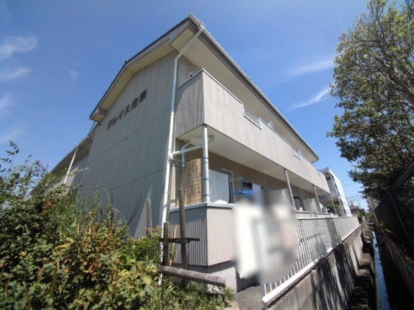  グレイス光栄