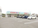 ドラッグスギヤマ笹川店(ドラッグストア)まで564m グランアズール