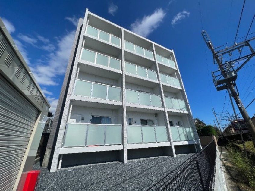  Ｒａｆｆｉｎｅ　Ｔｏｋｉｗａ