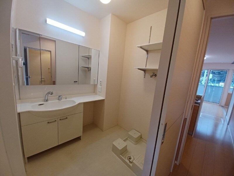 同型反転参考写真 エルグランデ