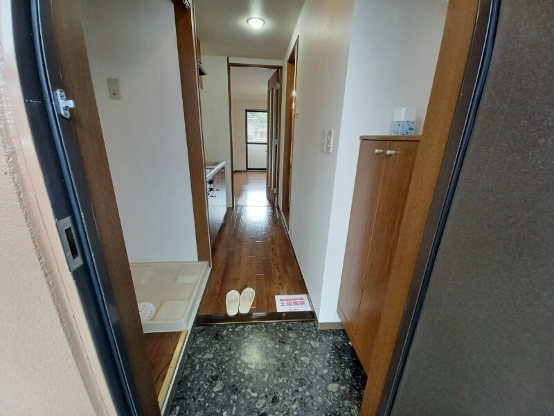 同型参考写真 ベルグラース波木