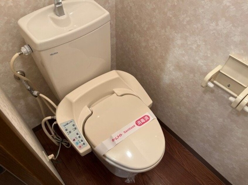  ベルグラース波木