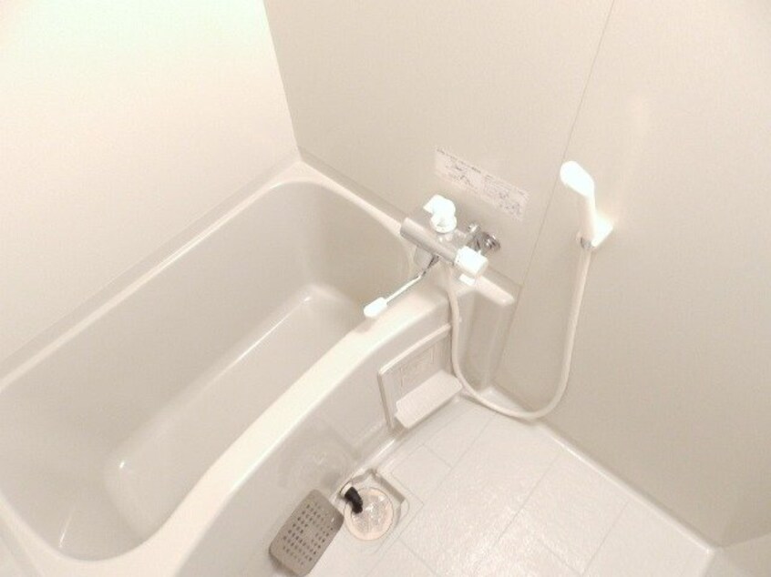 同型参考写真 ベルグラース波木