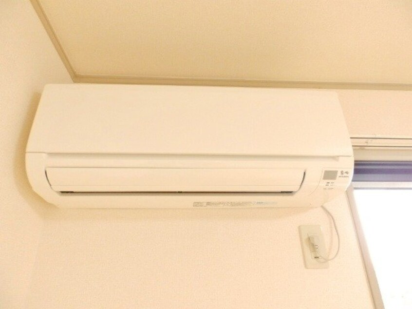 同型参考写真 サングリーン