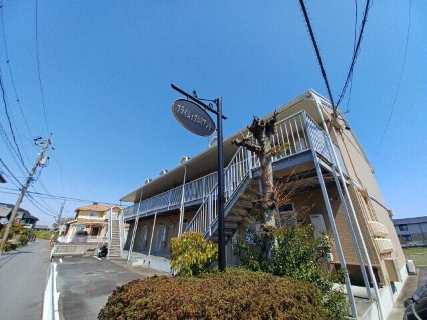  プライムブリリアント　A