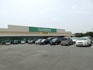 スーパーサンシこもの繁盛店(スーパー)まで3194m アンベリール