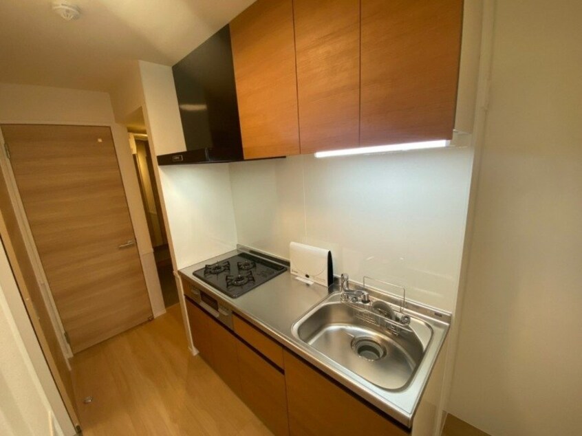 同型参考写真 響