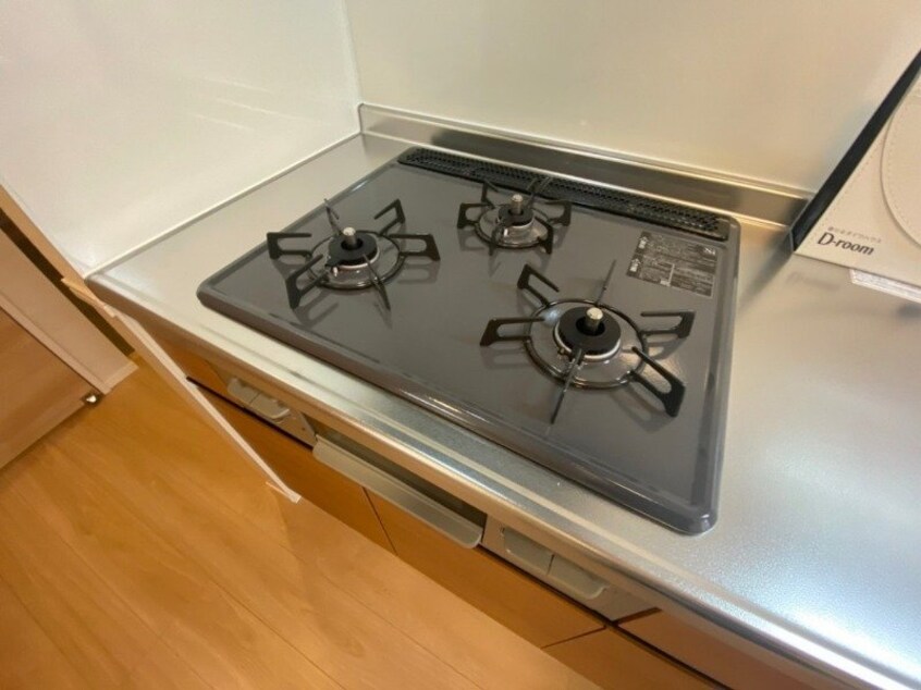 同型参考写真 響