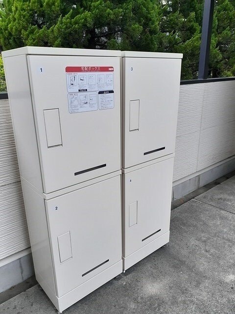  エバーグリーン森