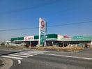 コメリハード＆グリーン北楠店(電気量販店/ホームセンター)まで1237m グラン・ノワール
