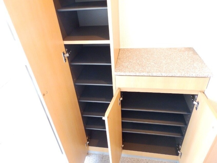 同物件別室反転タイプ ルクソール新正Ⅱ