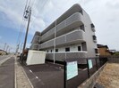ミレニアム楠の外観