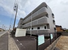 ミレニアム楠の外観