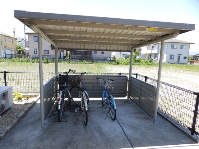  Ｓｕｎｒｉｓｅ　Ｙ