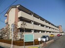マンションマルカ　サウスの外観