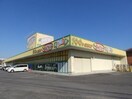 ダイソー鈴鹿長太店(電気量販店/ホームセンター)まで2980m セントラルアイランドB棟