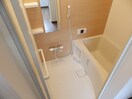 同型参考写真 Ｓｏｕｒｉａｎ２