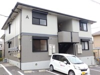 プリムローズ　A