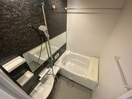 同型参考写真 響