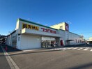 スギ薬局青葉店(ドラッグストア)まで2133m ユーミー川島