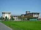四日市市立桜小学校(小学校)まで479m 小中学校近くP3台敷礼保証金ナシ外国籍OKの家