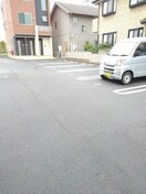  プラシード　キャトル