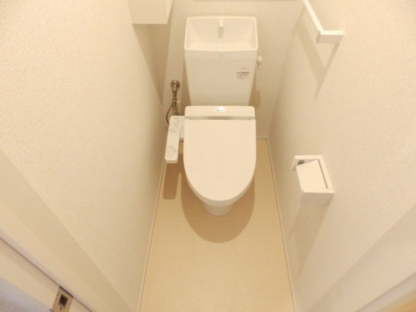 同型参考写真 プラシード　キャトル