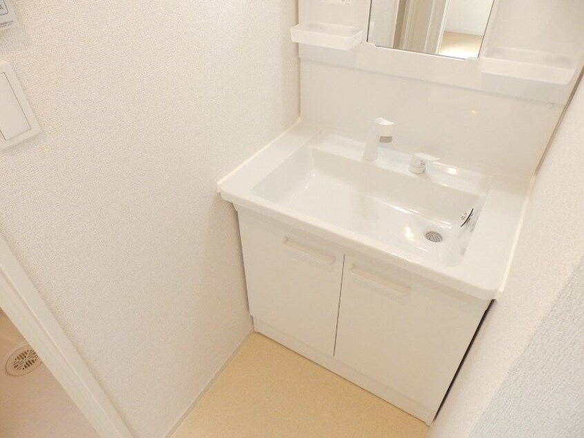 同型参考写真 プラシード　キャトル