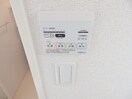 同型参考写真 プラシード　キャトル
