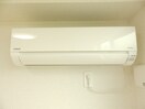 同型参考写真 プラシード　キャトル