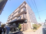 アルカディア