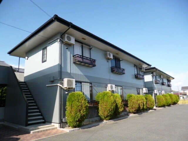  エバーグリーン森