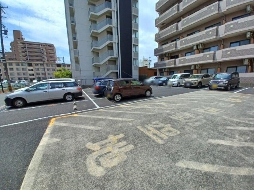  マンハイムカドゲン