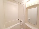 同物件反転写真 ＳＵＮ　ＢＲＩＧＨＴ さかⅡ