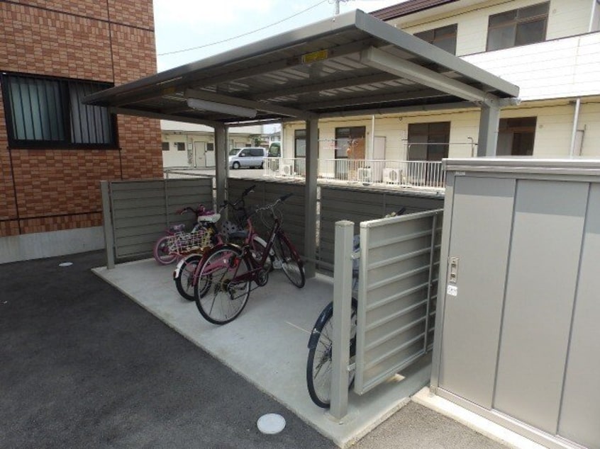  ブランニューコート