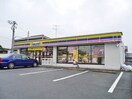 ミニストップ桜台本町店(コンビニ)まで1239m ＳＵＮ　ａｌｐｈａ