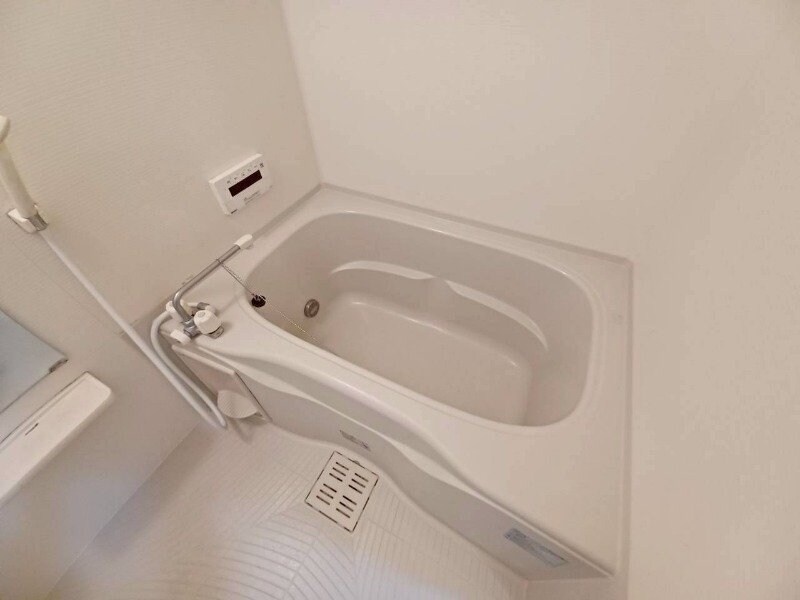  コーラルガーデン