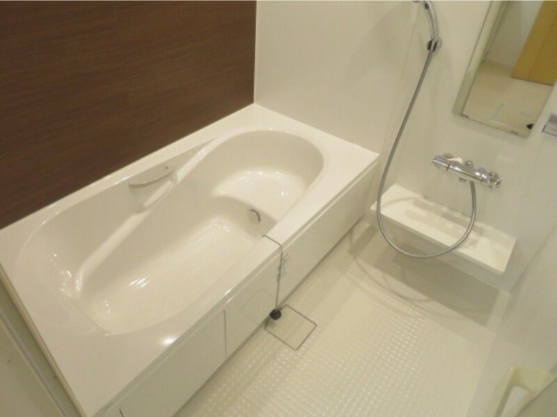 反転タイプ参考写真 ティエラ　ボニート　Ａ