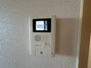 同型参考写真 フォーシーズン　Ｍ