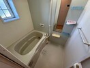 同型参考写真 フォーシーズン　Ｍ