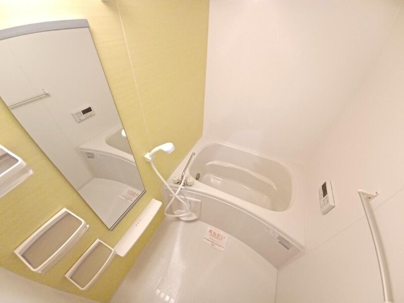 同型参考写真 スイフヨウ　Ｂ